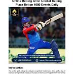 bet daily cricket
